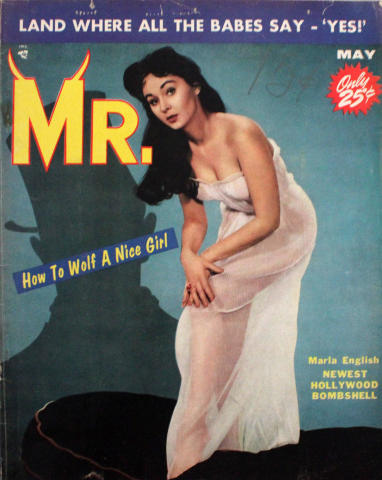 Mr. Vintage Adult Magazine