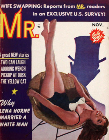 Mr. Vintage Adult Magazine