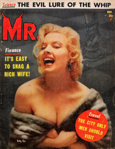 Mr. Vintage Adult Magazine