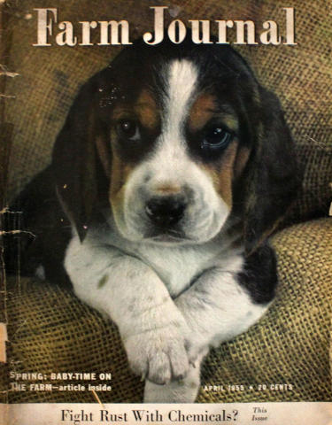 Farm Journal