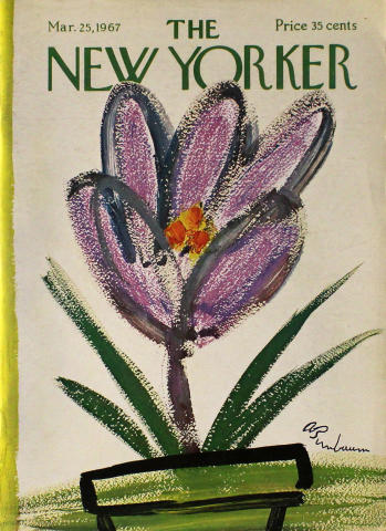 The New Yorker