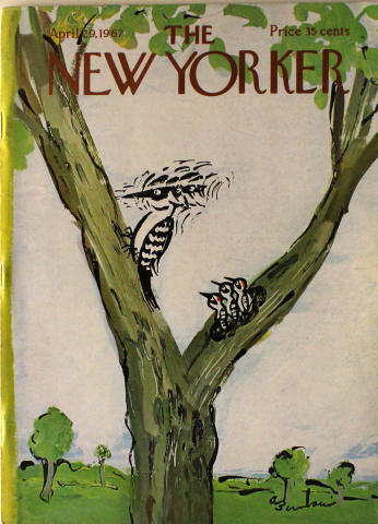 The New Yorker