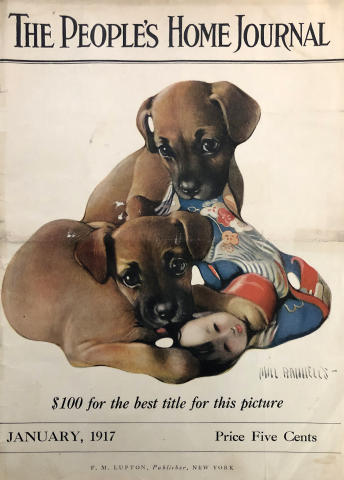 The People's Home Journal