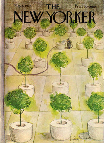 The New Yorker