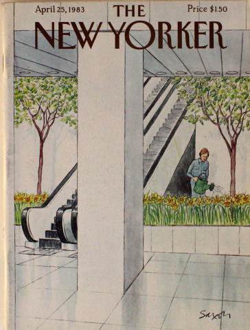 The New Yorker