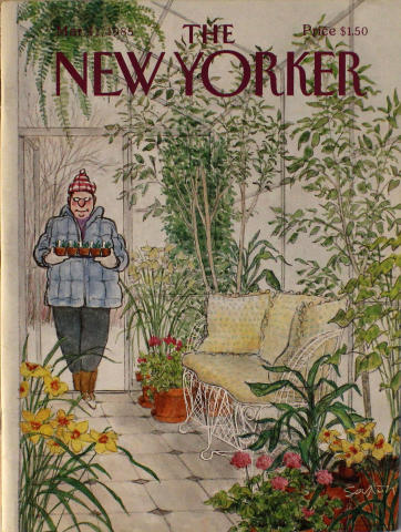 The New Yorker