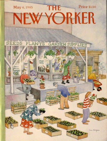 The New Yorker