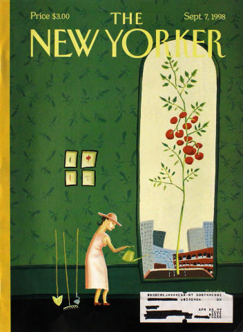 The New Yorker