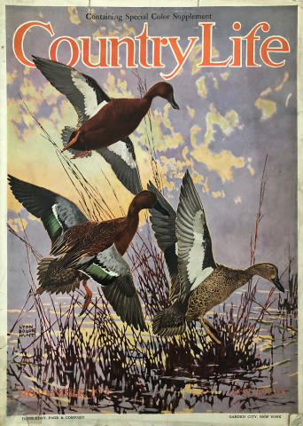 Country Life