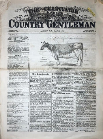 Country Gentleman