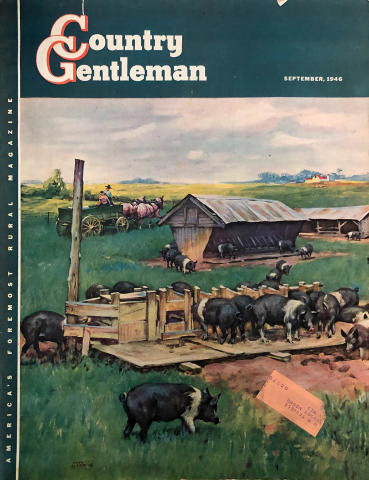 Country Gentleman