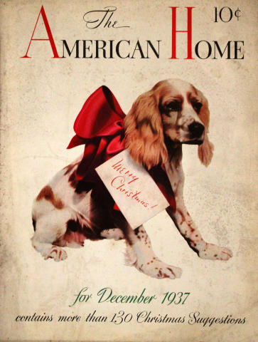 The American Home