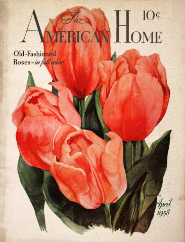The American Home