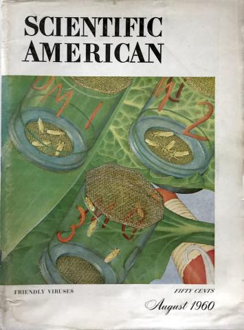Scientific American