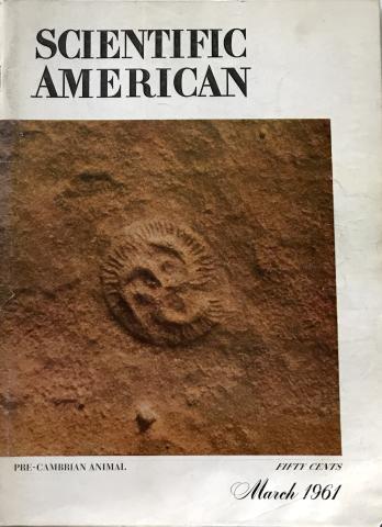 Scientific American