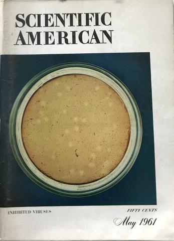 Scientific American