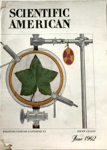 Scientific American