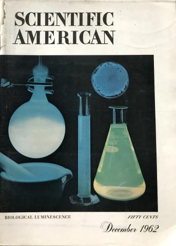 Scientific American