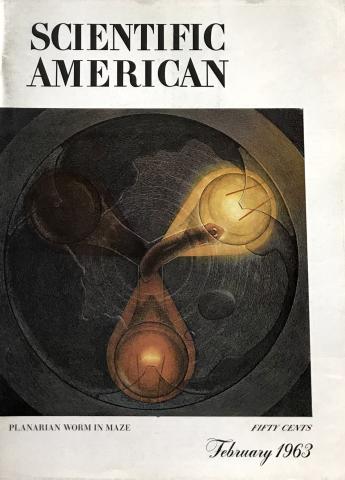 Scientific American