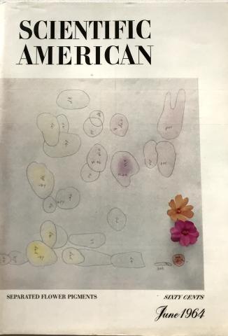 Scientific American