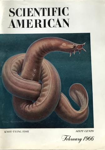 Scientific American