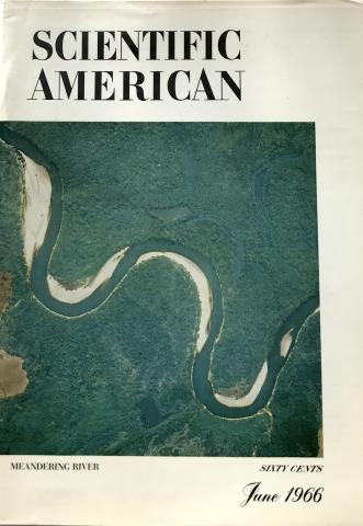 Scientific American
