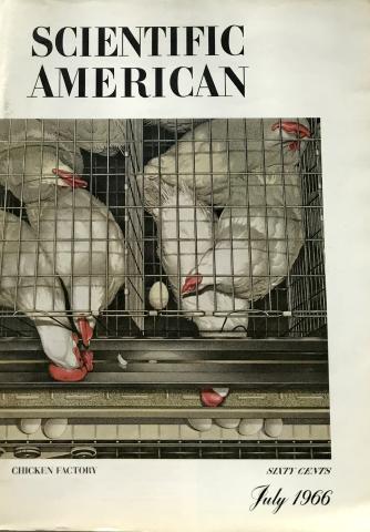 Scientific American