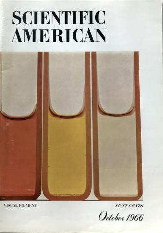 Scientific American