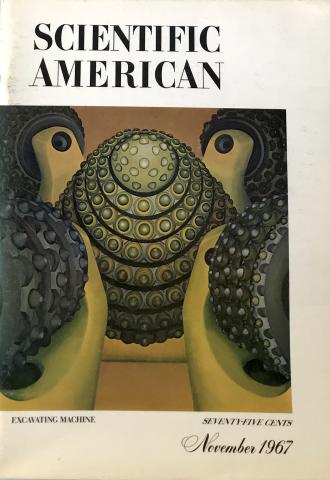 Scientific American