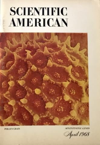 Scientific American