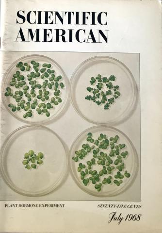 Scientific American