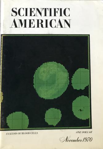 Scientific American
