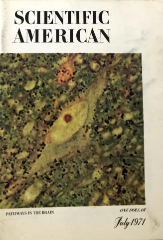 Scientific American
