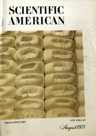 Scientific American