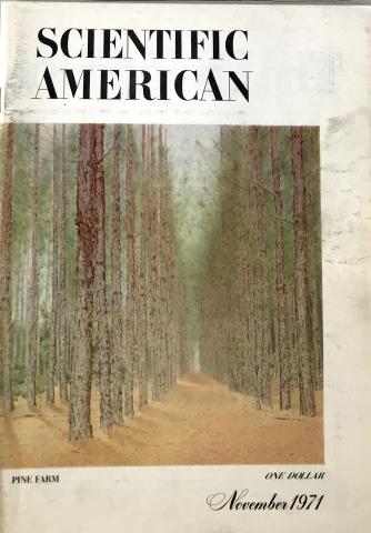 Scientific American