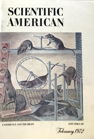 Scientific American