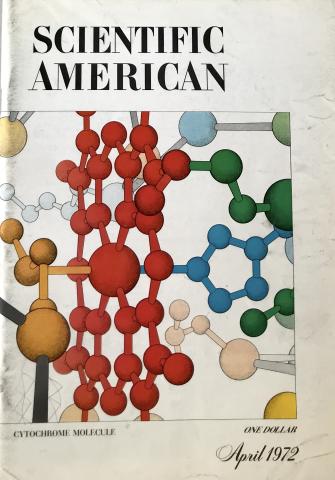 Scientific American
