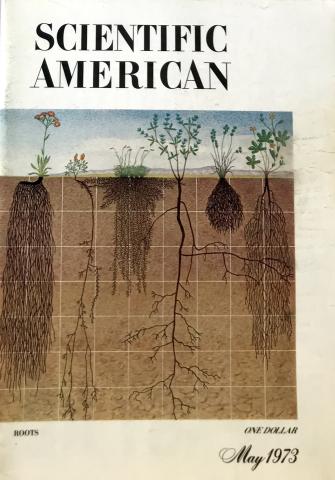 Scientific American