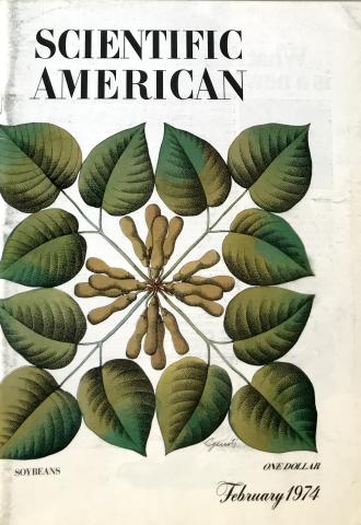 Scientific American