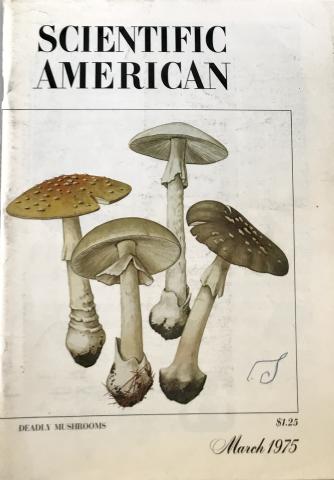 Scientific American
