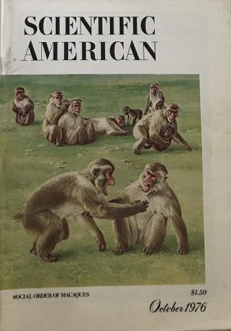 Scientific American