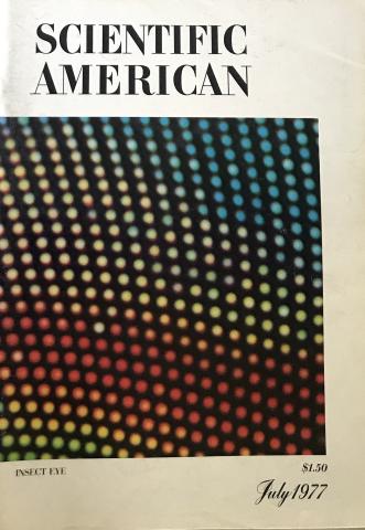 Scientific American