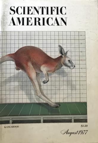 Scientific American