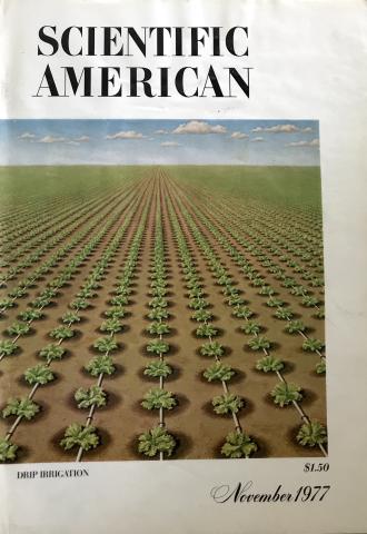 Scientific American
