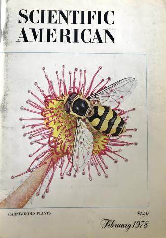 Scientific American