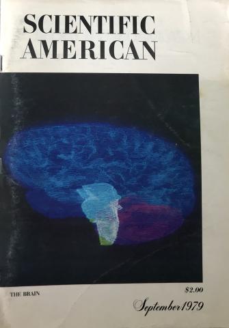 Scientific American
