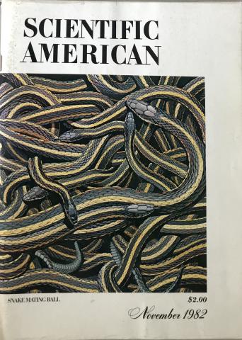 Scientific American
