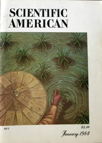 Scientific American