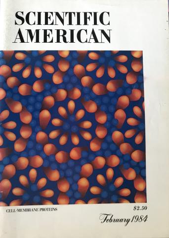 Scientific American