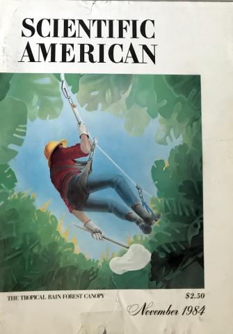 Scientific American